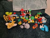 Lego Duplo 10907 Tiere der Welt Kreis Pinneberg - Schenefeld Vorschau