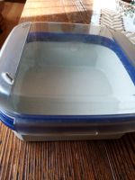 Tupperware - Deckelbox 1,2 l Bayern - Mainaschaff Vorschau