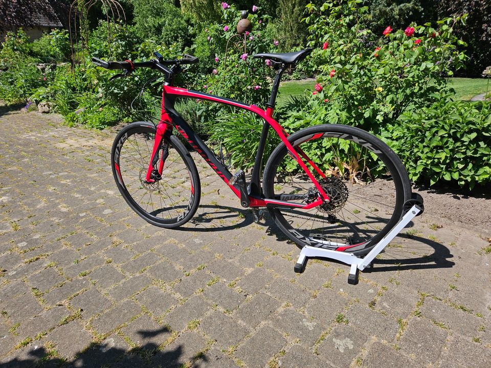 SPECIALIZED Sirrus Pro Carbon Disc Gr. L in Scharnebeck