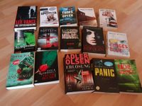 Diverse Bücher: Krimis, Thriller, Psychothriller etc. 1-4 Euro Aubing-Lochhausen-Langwied - Aubing Vorschau