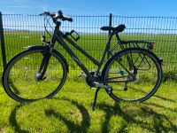 Fahrrad Curtis Alu-Trekking-Bike 28 Niedersachsen - Einbeck Vorschau