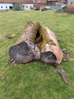 Eschenholz Holz Baumstamm Esche Stammholz Bayern - Landsberg (Lech) Vorschau