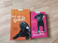 Bernie und Chet Bücher, Bände 1+2 Rheinland-Pfalz - Waldsee Vorschau