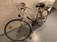 Raleigh Panache Fahrrad / 29“ Zoll / Shimano PPS / Gel Sattel Nordrhein-Westfalen - Hagen Vorschau