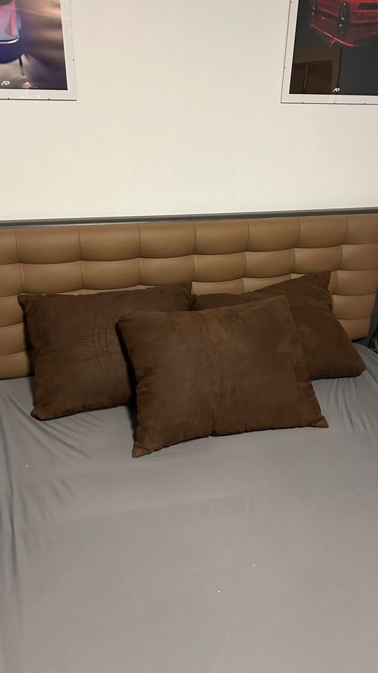Verschenke 3x Couch Kissen Sofa 50x70 in Konradsreuth