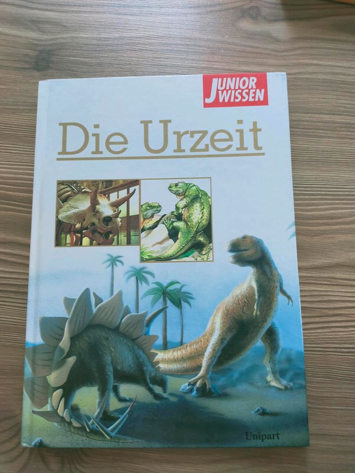 Die Urzeit Dino Wissen in Dernbach