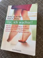 Bücher über Schwangerschaft/Stillzeit/Baby Brandenburg - Heidesee Vorschau
