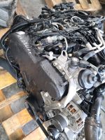 Motor AUDI A4 A5 A6 Q5 2.0 TDI CGL CGLB CGLC 177PS Berlin - Wilmersdorf Vorschau