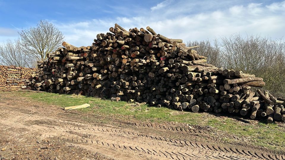 Brennholz Ofenholz Kaminholz in Immenhausen