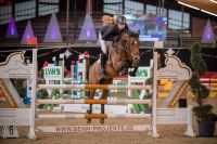 Top Springpony/Kaderpony/Lehrmeister Hessen - Fuldabrück Vorschau