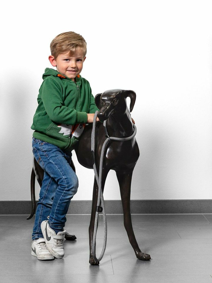 Bronze Skulptur Figur Hunde Paar Windhund Dog animal in Lage
