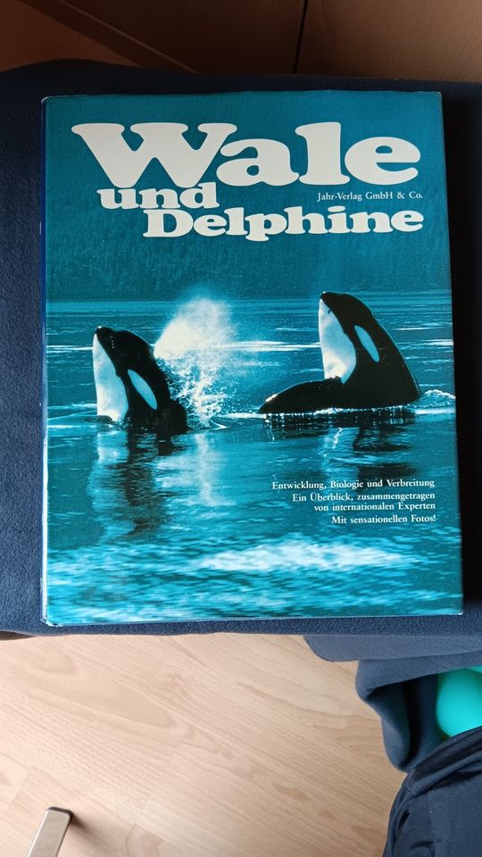 Buch: Wale und Delphine Herausgeber Jörg Keller Jahr-Verlag GmbH in Bissendorf