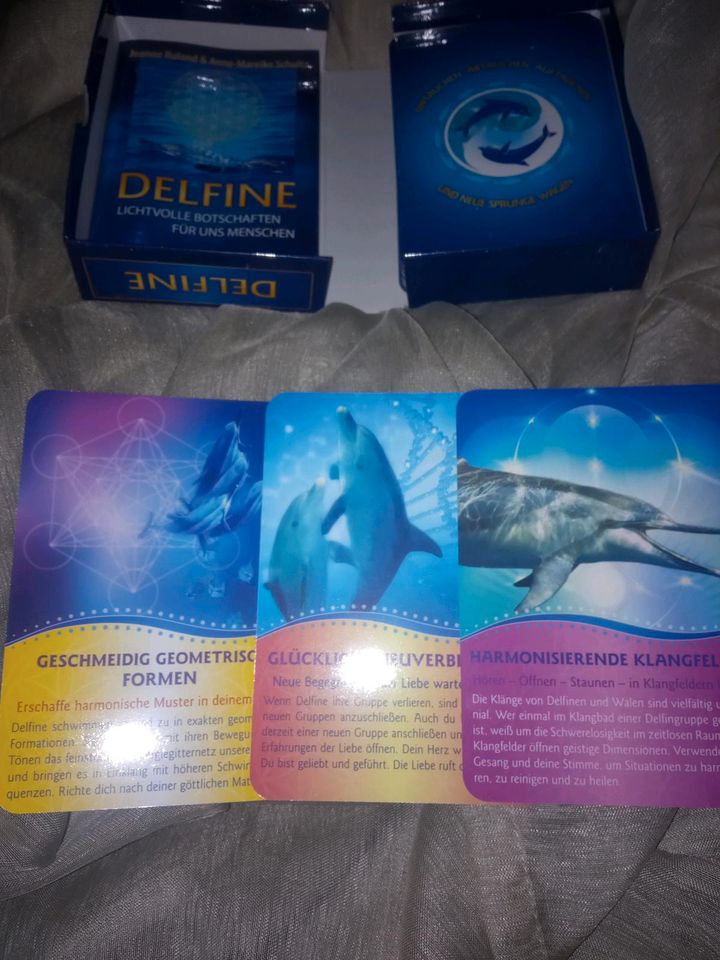 Delfine ,Lichtvolle Botschaften 56 Karten mit Begleitbuch in Windeck
