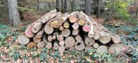 Brennholz gepoltert abholfertig am PKW Weg (in 3 Metern Länge) Mecklenburg-Vorpommern - Malchin Vorschau
