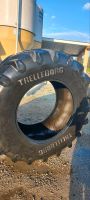 Trelleborg TM 800 710/70/R38 Satz Reifen Schlepperreifen Bayern - Pfarrkirchen Vorschau