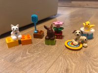 Lego Duplo Haustiere Duisburg - Neumühl Vorschau