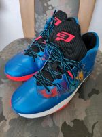 NIKE Air Jordan CP 3 Gr. 41 Chris Paul Basketballschuhe Schleswig-Holstein - Rendsburg Vorschau