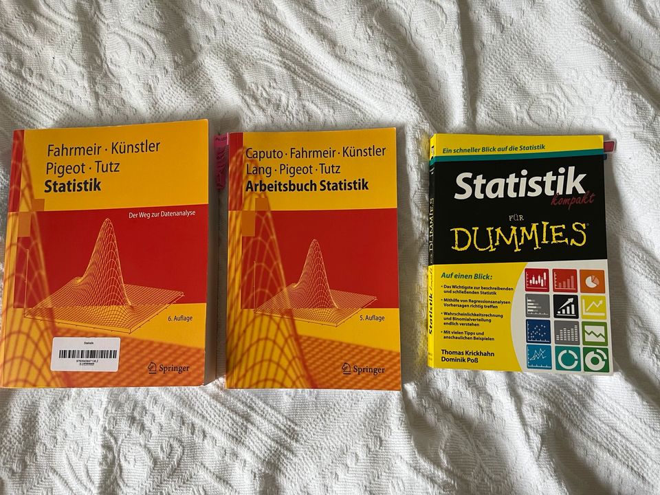 Fahrmeier Statistik + Statistik für dummies in München