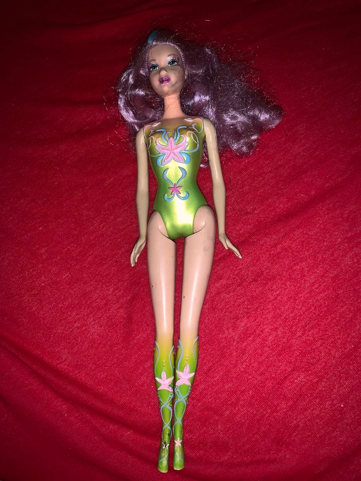 Barbie Puppe in Borken