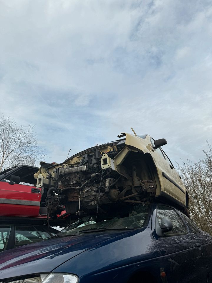 Fiat Panda 169 1.1L 40KW Autoteile Ersatzteile Schlachtfest in Waldbröl