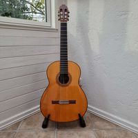 Diverse Meistergitarren /Konzertgitarren ab 650 € Hamburg-Mitte - Hamburg St. Pauli Vorschau