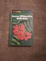 Beeren, Wildgemüse, Heilkräuter - Naturführer Nordwestmecklenburg - Landkreis - Grevesmuehlen Vorschau