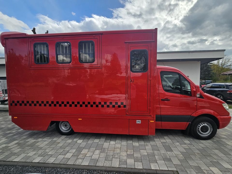 Mercedes Benz Sprinter Pferdetransporter Steinsberger Aufbau in Kremmen