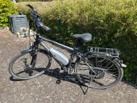 E-Bike Bulls Lavida.  Green Mover Niedersachsen - Velpke Vorschau