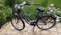 Damenfahrrad 28 Zoll Columbus Nordrhein-Westfalen - Voerde (Niederrhein) Vorschau