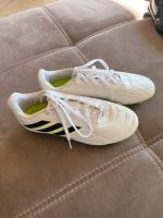 Adidas Fußballschuhe top Zustand Rheinland-Pfalz - Frankenthal (Pfalz) Vorschau