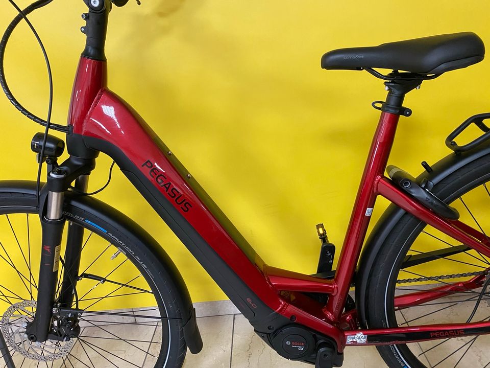 Pegasus Premio Evo E-Bike 625Wh CX 85Nm 55cm 586km 2022 in Duisburg