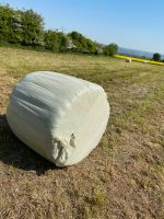 Silage/ Heulage Ernte 2024 Niedersachsen - Dassel Vorschau