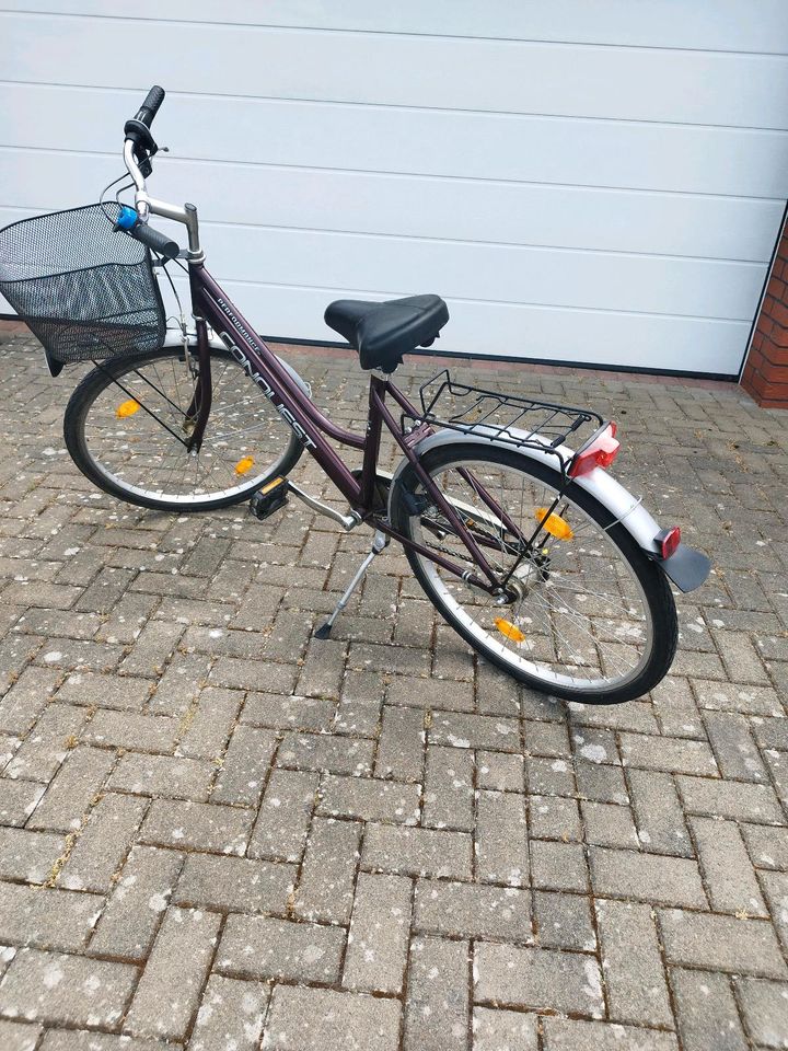 Ein Damen 26" Fahrrad mit Einkaufskorb in Salzgitter