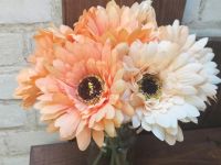 8x Gerbera jeweils 4x orange + 4x lachs/creme Kunstblumen Baden-Württemberg - Buchen (Odenwald) Vorschau