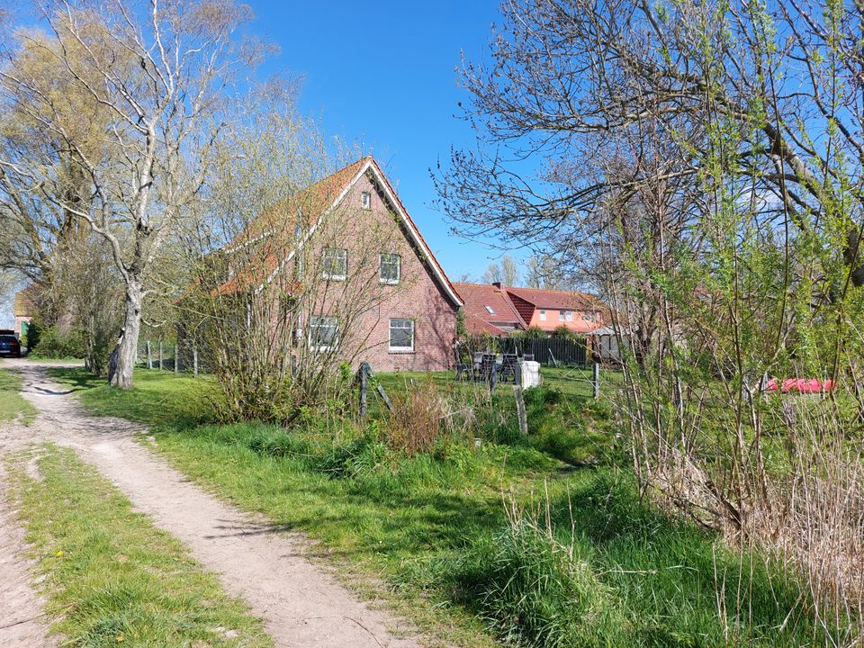 EFH nahe Esens Kanallage Sauna Kamin in Werdum