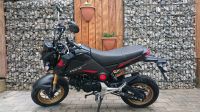 Honda Msx 125 Grom Dax Nordrhein-Westfalen - Drolshagen Vorschau