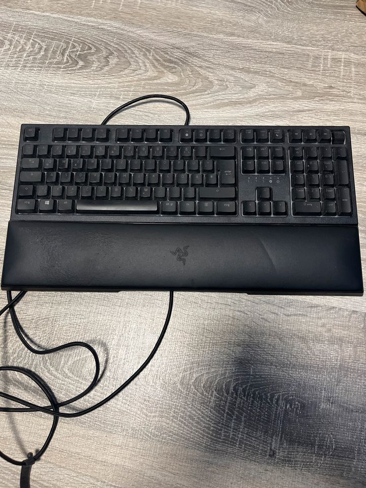 Razer Ornata V2 in Hoya