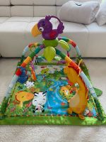 Spielbogen Fisherprice Niedersachsen - Wolfsburg Vorschau