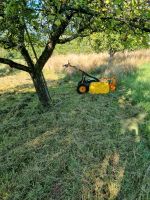 Obstbäume schneiden Streuobstwiese ausmähen, mähen oder mulchen Bayern - Schöllkrippen Vorschau