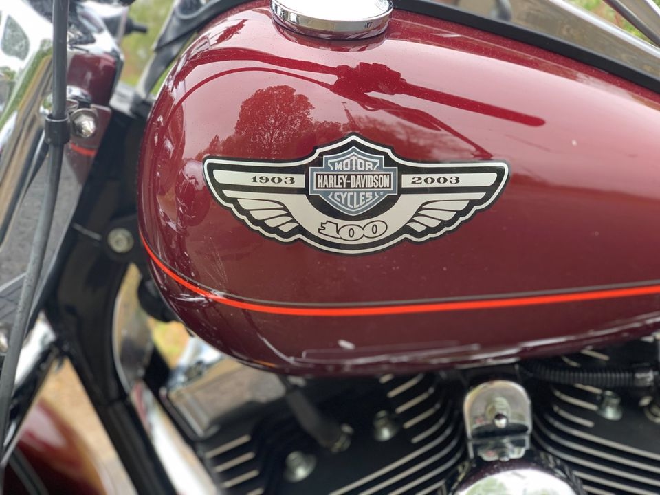 Harley Davidson Road King Classic Tausch möglich in Rhauderfehn