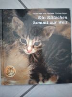 Infobuch "Ein Kätzchen kommt zur Welt" Saarland - Merchweiler Vorschau