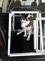 Hundebox Hundetransportbox zu mieten pro Woche Duisburg - Rheinhausen Vorschau