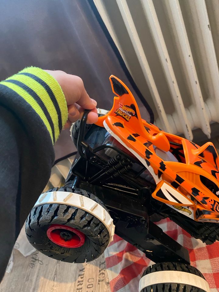 Hot Wheels Tiger Shark RC in Freiburg im Breisgau