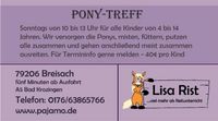 *Pony-Treff * Sonntags von 10 bis 13 Uhr Baden-Württemberg - Breisach am Rhein   Vorschau