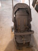 Buggy bis 22 kg Hannover - Vahrenwald-List Vorschau