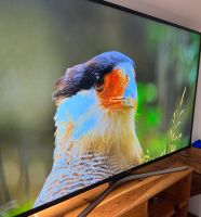 Samsung 55 zoll smart tv 4k Rheinland-Pfalz - Bingen Vorschau