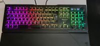 Roccat Vulcan Pro Gaming Tastatur mit RGB Baden-Württemberg - Salem Vorschau