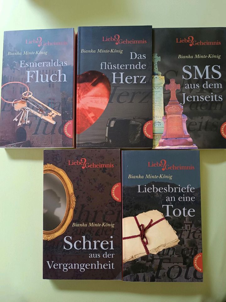 Buchreihe "Liebe & Geheimnis" (Bianka Minte-König) in Landsberied