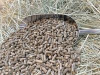 Heucobs Classic 20 kg/Heupellets/Pferdefutter/Heu/Pellets Niedersachsen - Ihlow Vorschau