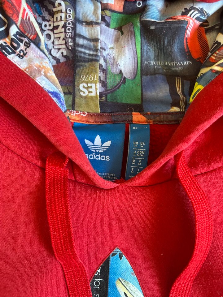 Adidas Hoodie in Bismark (Altmark)